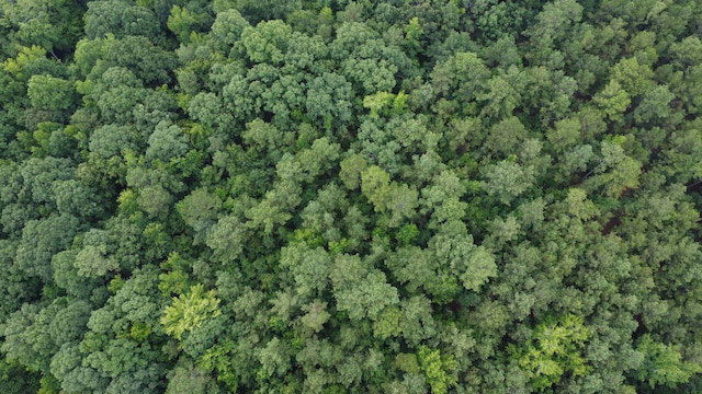 0 Greensboro Rd, Washington, GA 30673 - photo 14