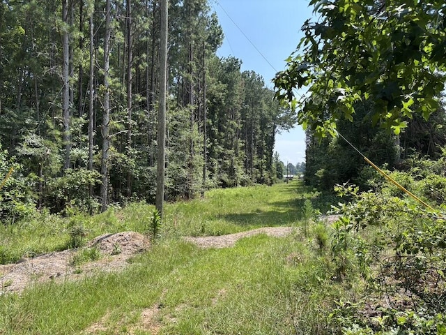 0 Greensboro Rd, Washington, GA 30673 - photo 18