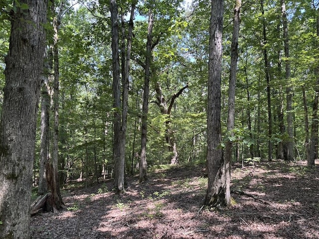 0 Greensboro Rd, Washington, GA 30673 - photo 21