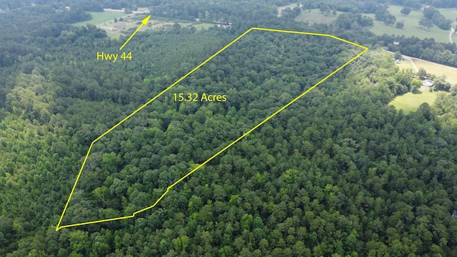 0 Greensboro Rd, Washington, GA 30673 - photo 13
