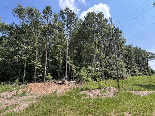0 Greensboro Rd, Washington, GA 30673 - photo 25