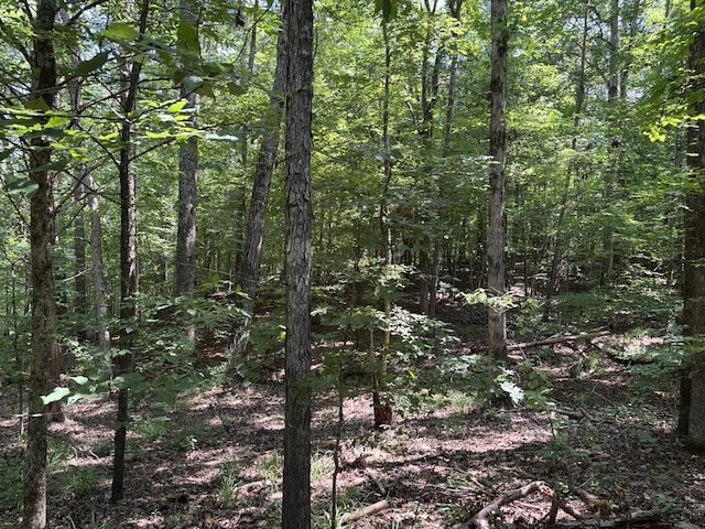 0 Greensboro Rd, Washington, GA 30673 - photo 20