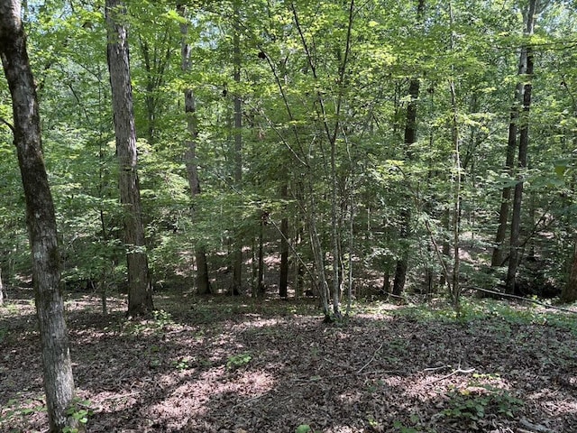 0 Greensboro Rd, Washington, GA 30673 - photo 19