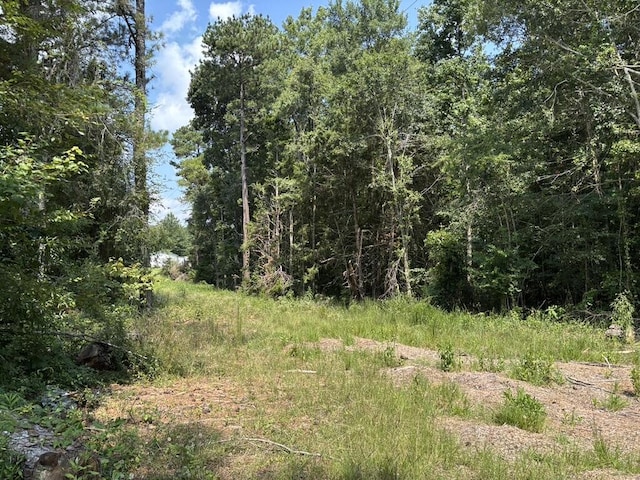 0 Greensboro Rd, Washington, GA 30673 - photo 17