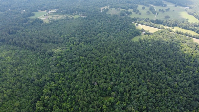 0 Greensboro Rd, Washington, GA 30673 - photo 11