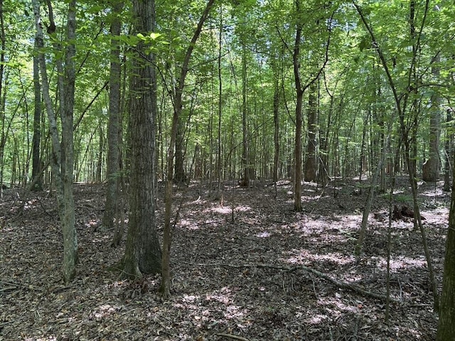 0 Greensboro Rd, Washington, GA 30673 - photo 22