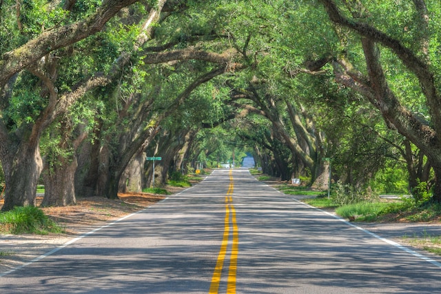 view of road