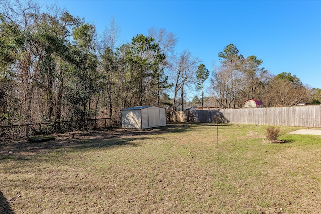 view of yard featuring a shed