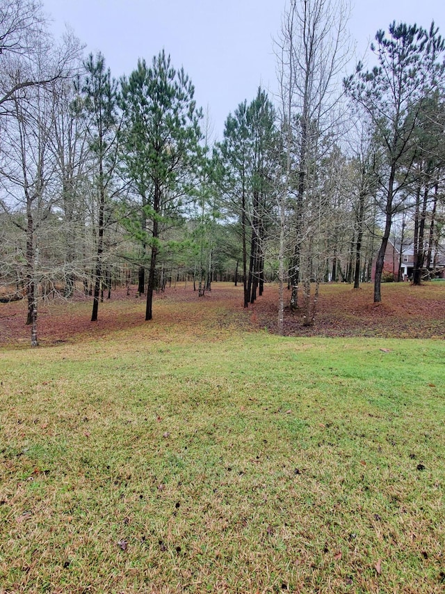 Listing photo 2 for 0 N Point Ct, Tignall GA 30668