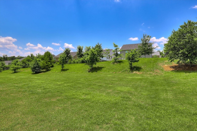 1052 Dietrich Ln, North Augusta, SC 29860 - view of grassy yard