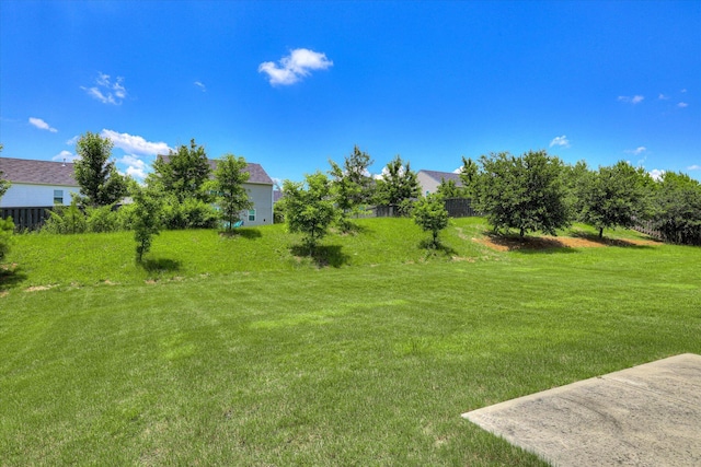 1052 Dietrich Ln, North Augusta, SC 29860 - view of grassy yard