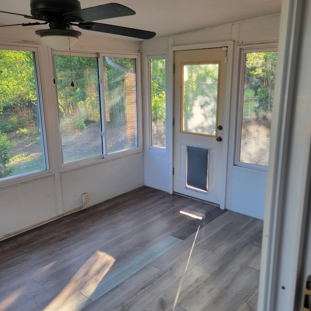 2514 Cascade Dr, Augusta, GA 30904 - unfurnished sunroom with wood finished floors