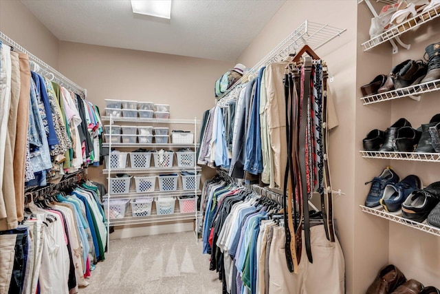 walk in closet featuring carpet