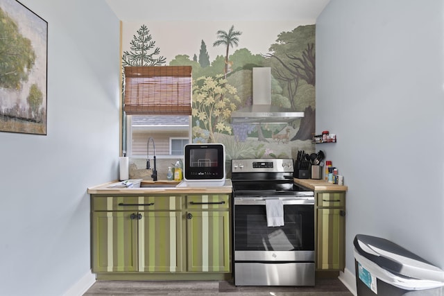 1118 Dantignac St, Augusta, GA 30901 - kitchen featuring green cabinetry, electric stove, range hood, a sink, and wood finished floors