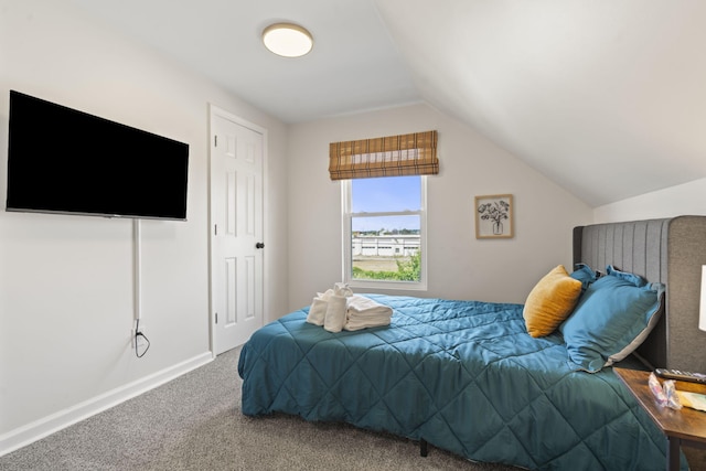1118 Dantignac St, Augusta, GA 30901 - bedroom with carpet, vaulted ceiling, and baseboards