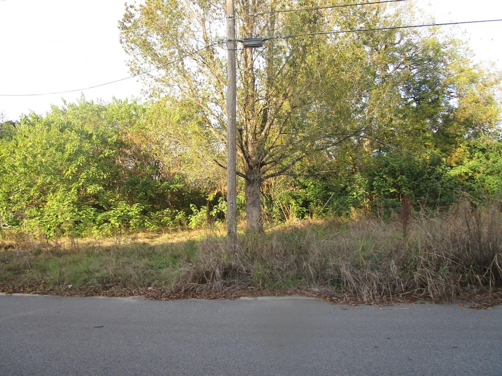 429 Fairhope St, Augusta, GA 30901 - photo 2