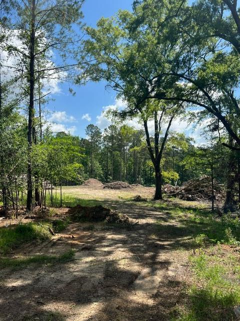 3199 Dozier Rd, Appling, GA 30802