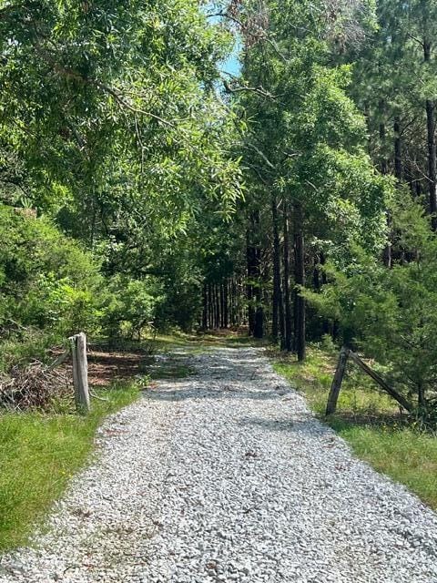 3199 Dozier Rd, Appling, GA 30802