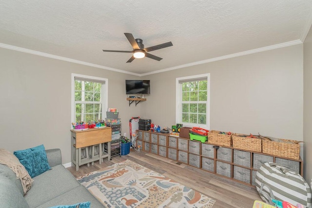 588 Big Branch Ln, North Augusta, SC 29860 - photo 23
