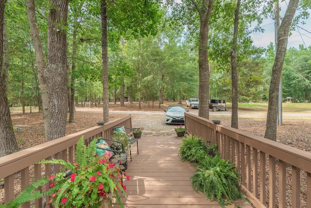 588 Big Branch Ln, North Augusta, SC 29860 - photo 47