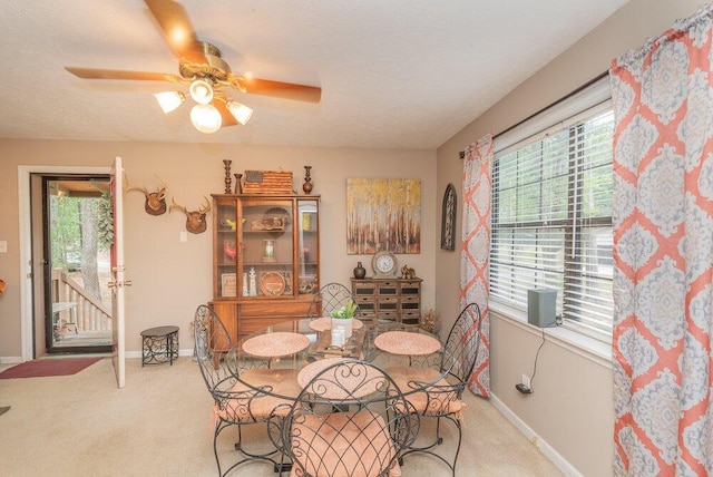 588 Big Branch Ln, North Augusta, SC 29860 - photo 54