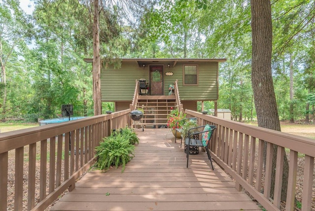 588 Big Branch Ln, North Augusta, SC 29860 - photo 46