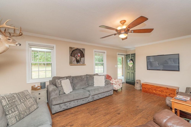 588 Big Branch Ln, North Augusta, SC 29860 - photo 11