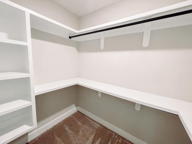 walk in closet featuring dark colored carpet