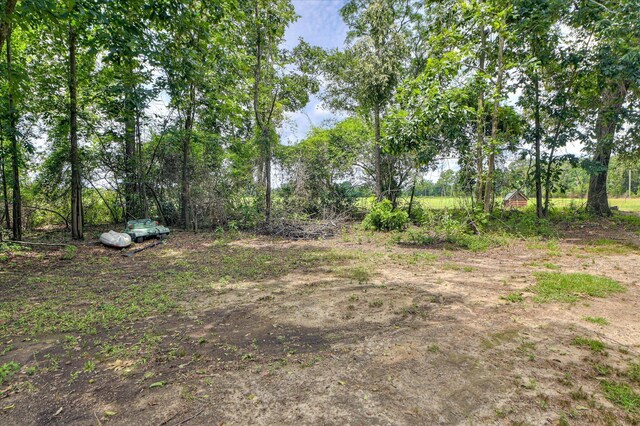 196 Brodie Hall Rd, Wagener, SC 29164 - photo 34