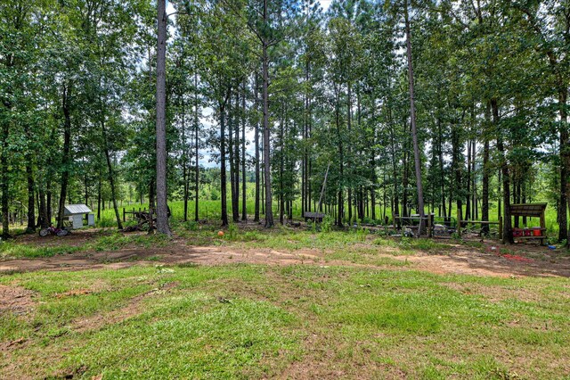 196 Brodie Hall Rd, Wagener, SC 29164 - photo 36