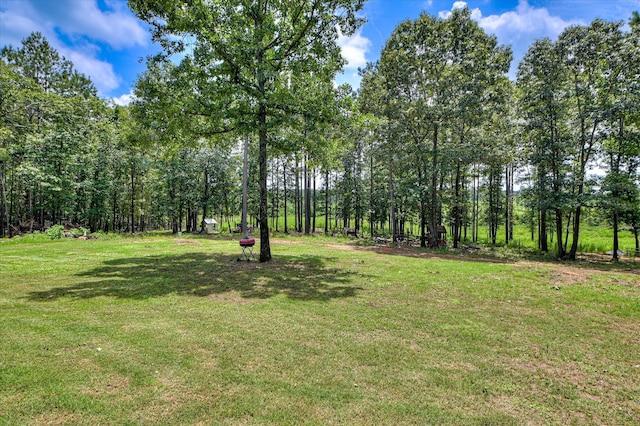 196 Brodie Hall Rd, Wagener, SC 29164 - photo 42