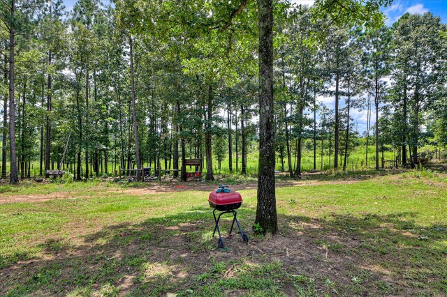 196 Brodie Hall Rd, Wagener, SC 29164 - photo 35