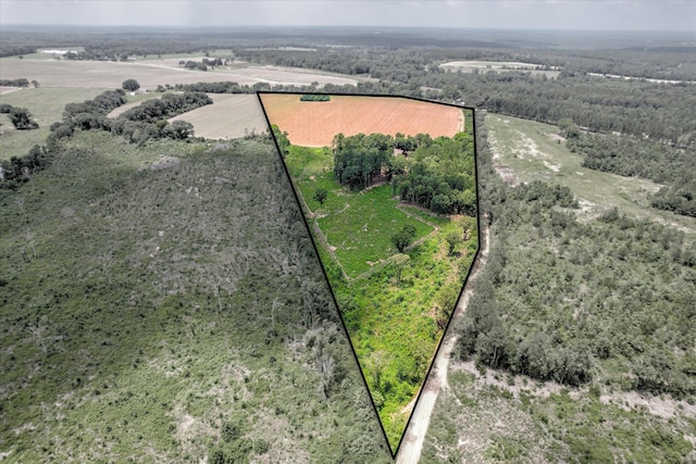 196 Brodie Hall Rd, Wagener, SC 29164 - photo 5