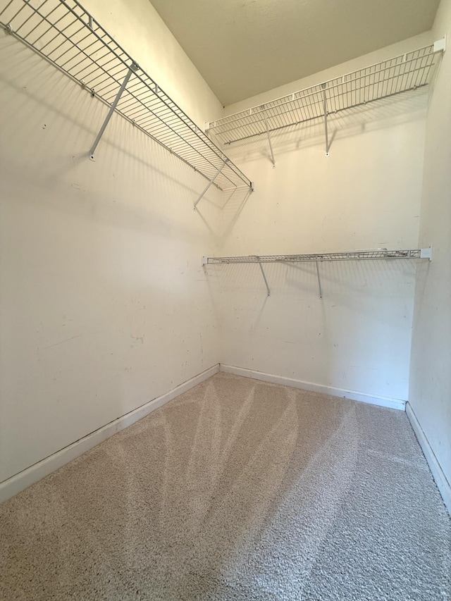 1420 Sawmill Trl, Grovetown, GA 30813 - walk in closet with carpet floors