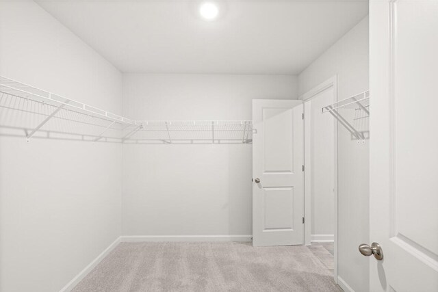 spacious closet featuring light carpet