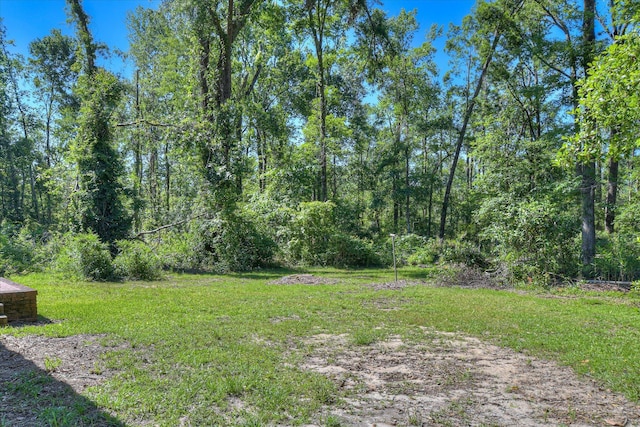 413 Mcintosh Dr, Waynesboro, GA 30830 - view of green lawn