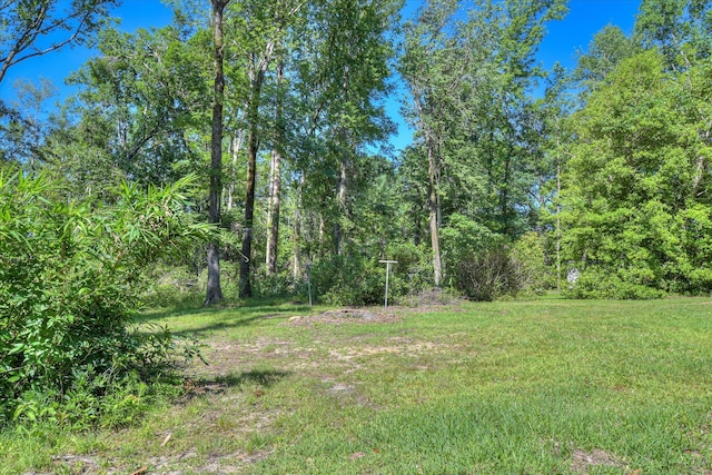 413 Mcintosh Dr, Waynesboro, GA 30830 - view of yard
