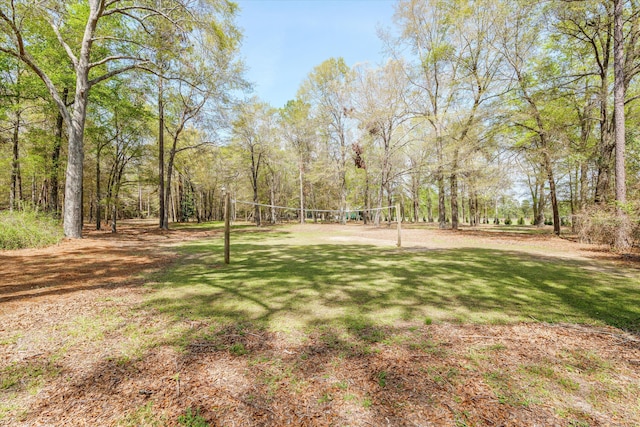 3593 Silver Bluff Rd, Aiken, SC 29803 - photo 67
