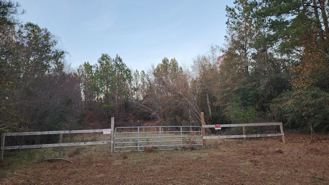 1607 Hephzibah Mcbean Rd, Hephzibah GA, 30815 land for sale