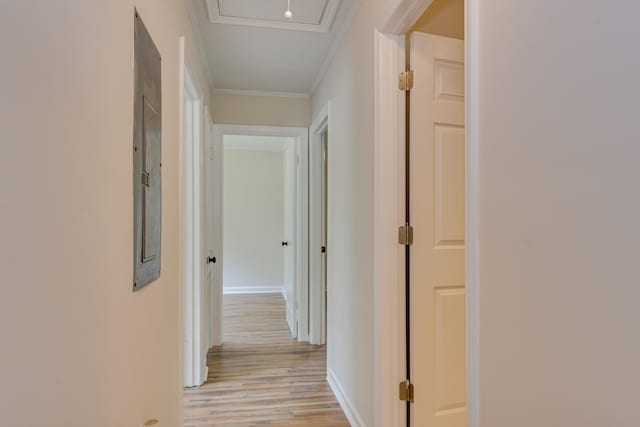 hallway featuring crown molding and light wood-type flooring