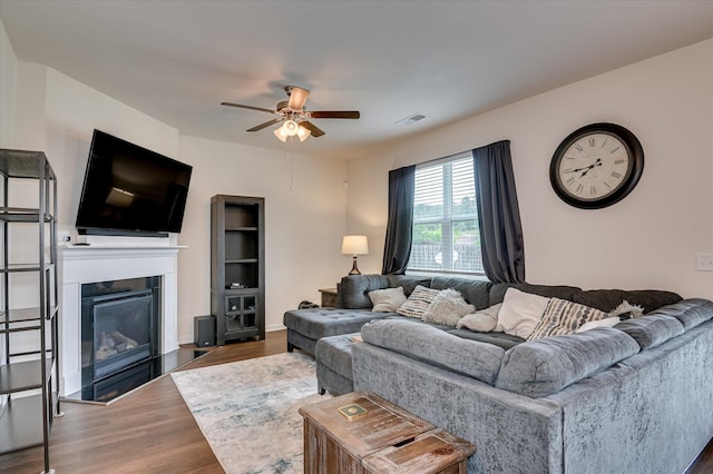 243 Quick Silver Ct, Graniteville, SC 29829 - living area with ceiling fan, wood finished floors, and a glass covered fireplace