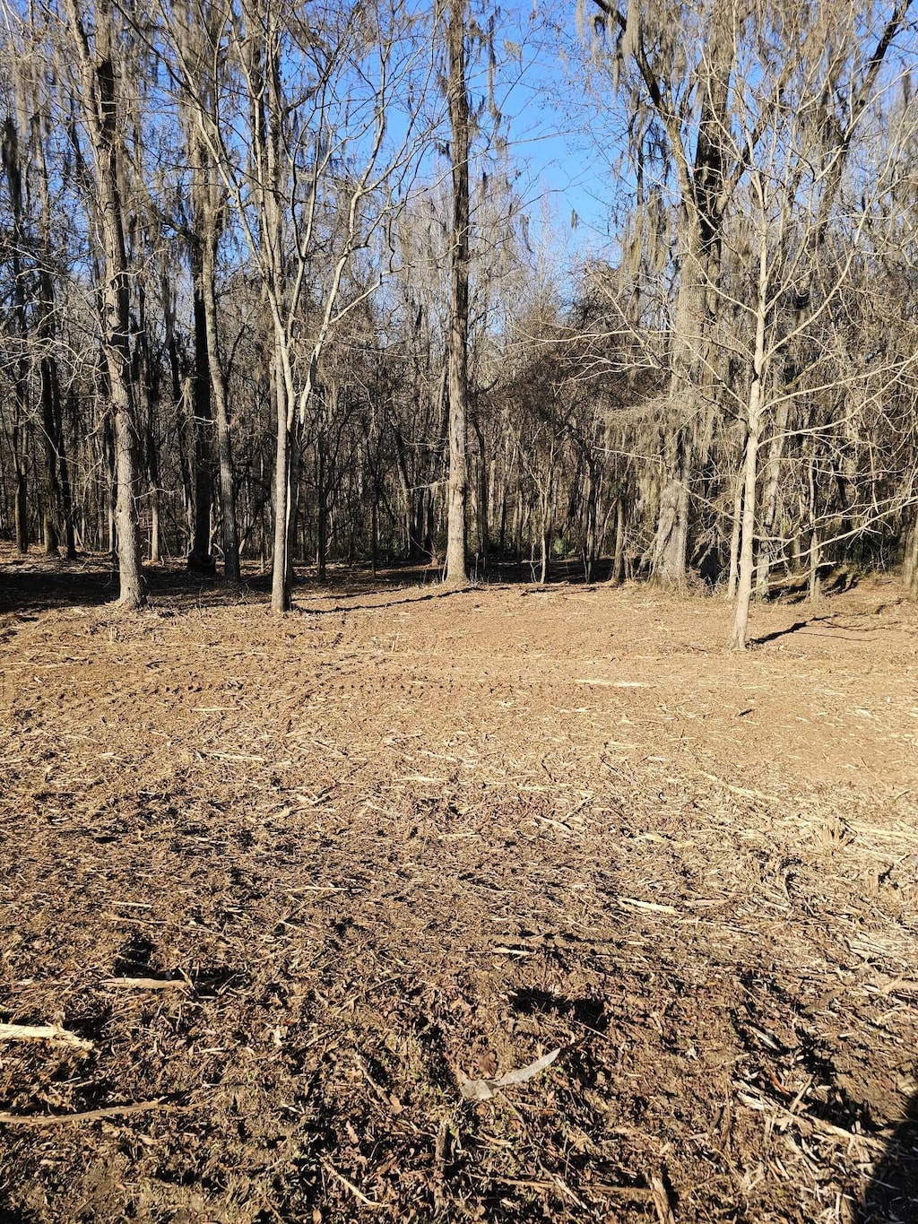 110 Vanna Ln, Waynesboro, GA 30830