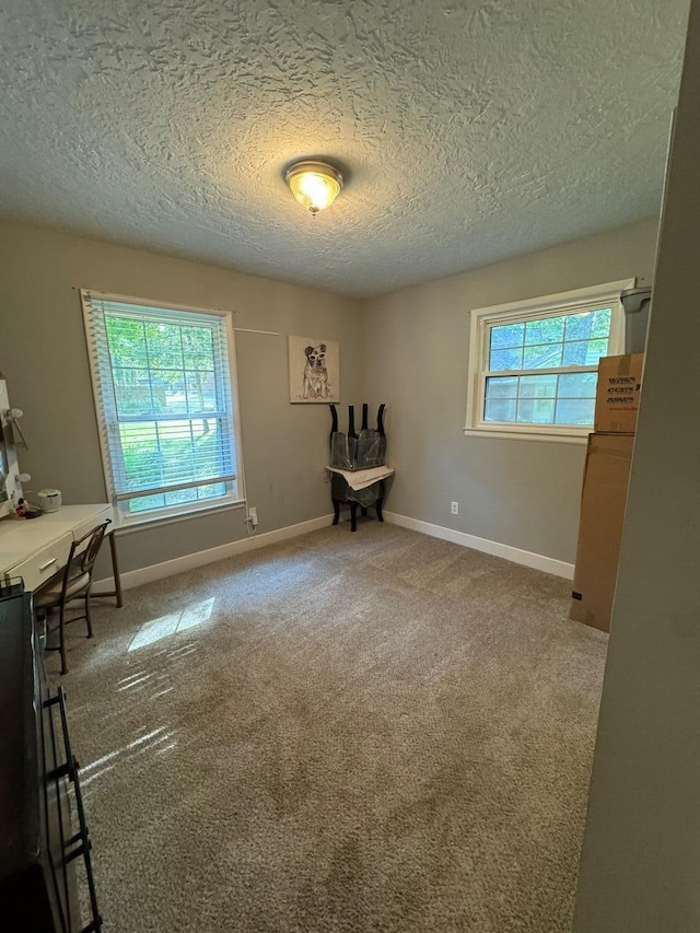 interior space with carpet flooring and a textured ceiling