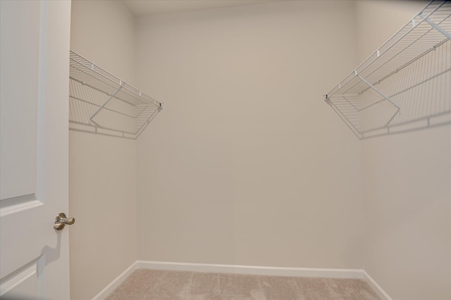 2015 Saylor Ln, Grovetown, GA 30813 - walk in closet featuring light carpet