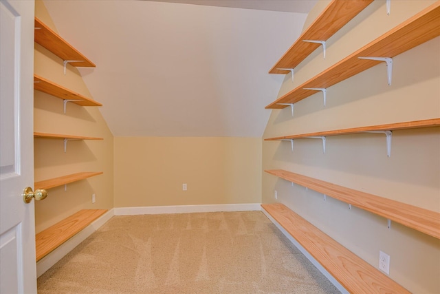245 W Kestwick Dr, Martinez, GA 30907 - photo 50