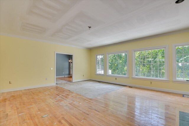 245 W Kestwick Dr, Martinez, GA 30907 - photo 13