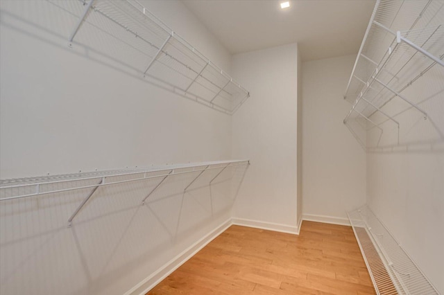 spacious closet featuring wood-type flooring