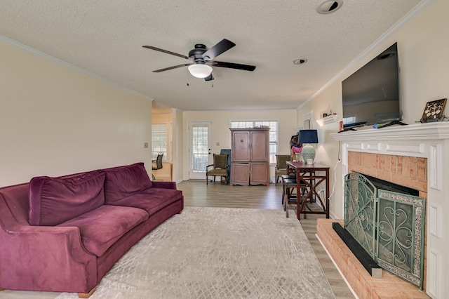 873 Chase Rd, Evans, GA 30809 - photo 7