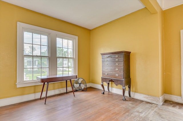 818 Academy Ave, Waynesboro, GA 30830 - office space featuring light wood finished floors and baseboards
