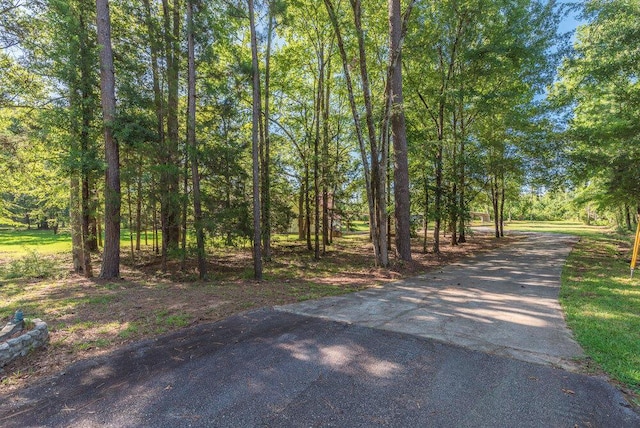 207 Cedar Rd, Plum Branch, SC 29845 - photo 2